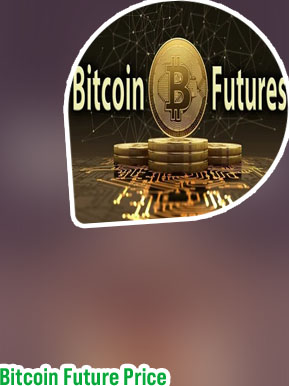Bitcoins future price