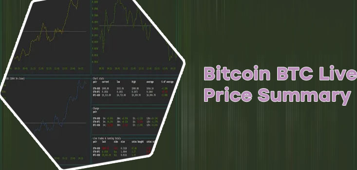 Btc live chart