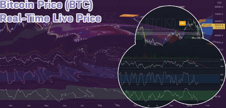 Btc value usd