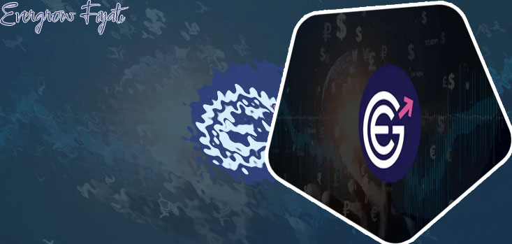 Where to buy evergrow crypto