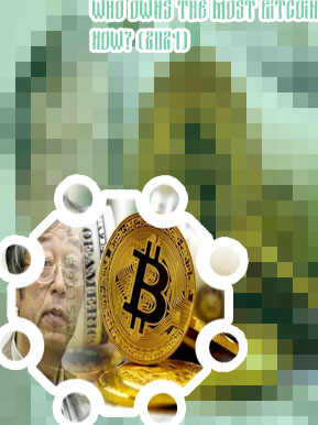 Who owns the most bitcoin